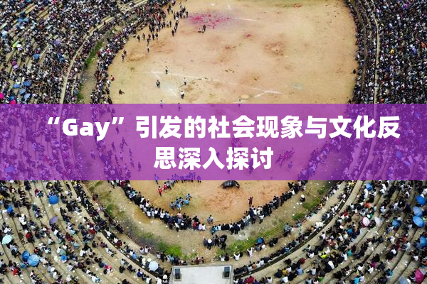 “Gay”引发的社会现象与文化反思深入探讨