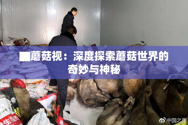 ▇蘑菇视：深度探索蘑菇世界的奇妙与神秘
