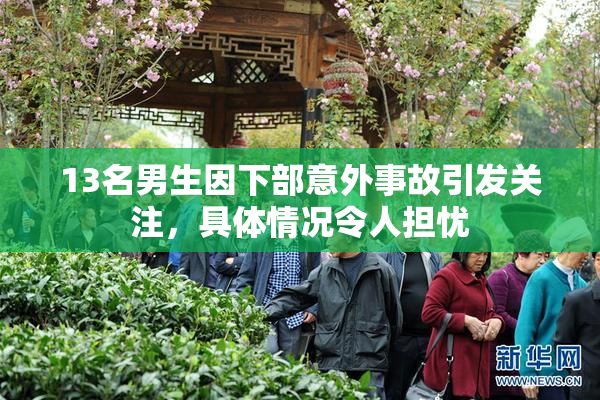 13名男生因下部意外事故引发关注，具体情况令人担忧