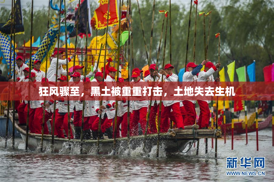 狂风骤至，黑土被重重打击，土地失去生机