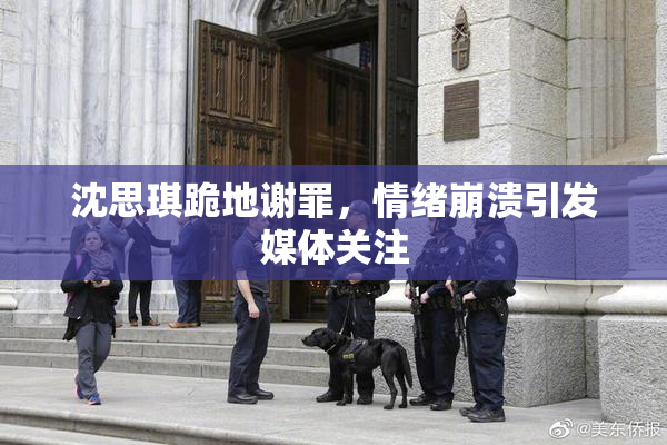 沈思琪跪地谢罪，情绪崩溃引发媒体关注