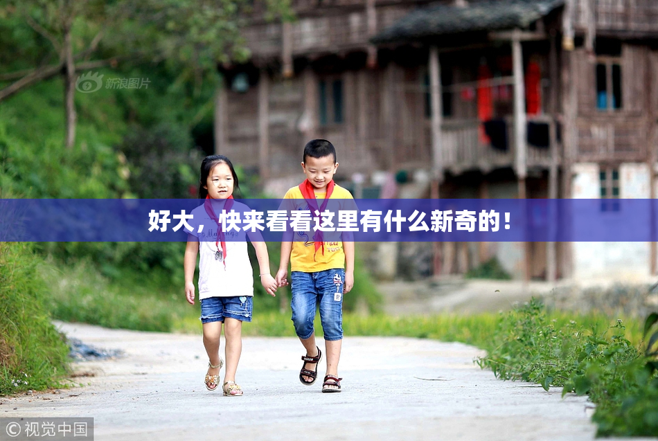 好大，快来看看这里有什么新奇的！