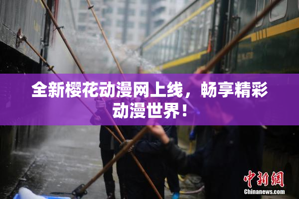 全新樱花动漫网上线，畅享精彩动漫世界！