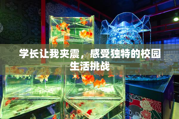 学长让我夹震，感受独特的校园生活挑战