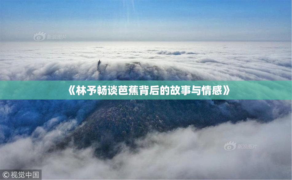《林予畅谈芭蕉背后的故事与情感》