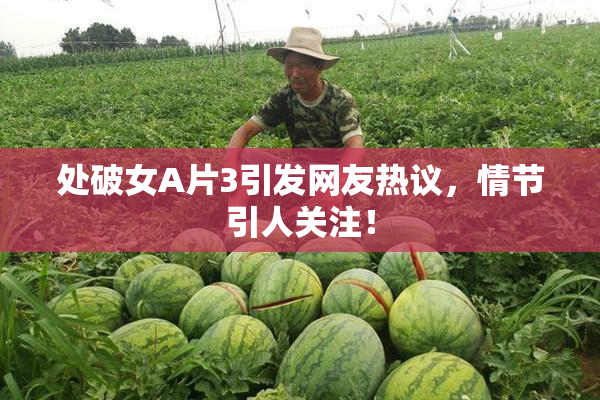 处破女A片3引发网友热议，情节引人关注！