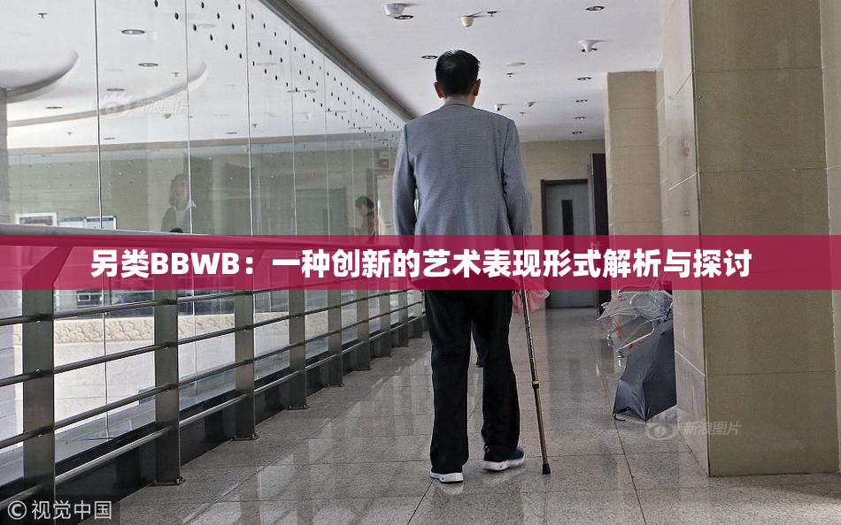 另类BBWB：一种创新的艺术表现形式解析与探讨