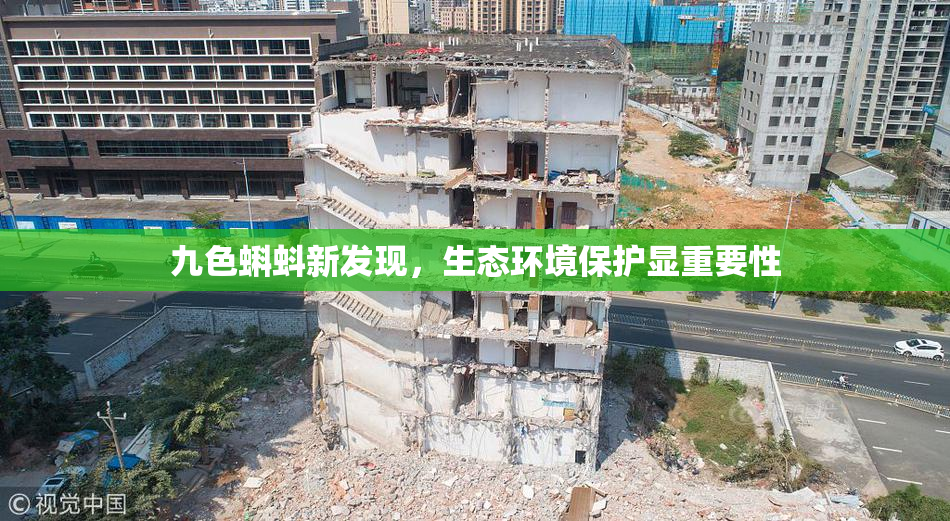 九色蝌蚪新发现，生态环境保护显重要性