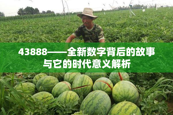 43888——全新数字背后的故事与它的时代意义解析