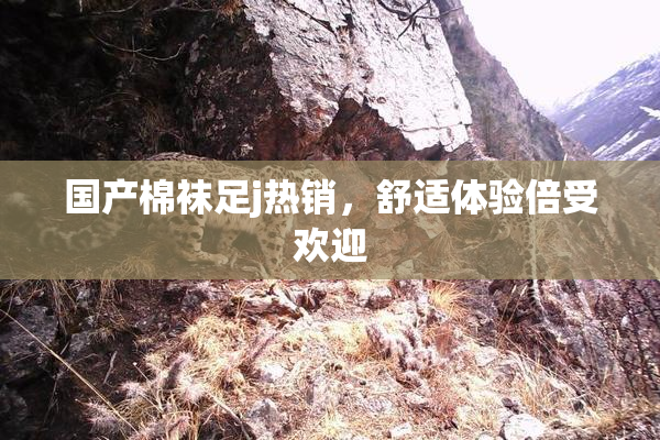 国产棉袜足j热销，舒适体验倍受欢迎