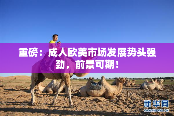 重磅：成人欧美市场发展势头强劲，前景可期！