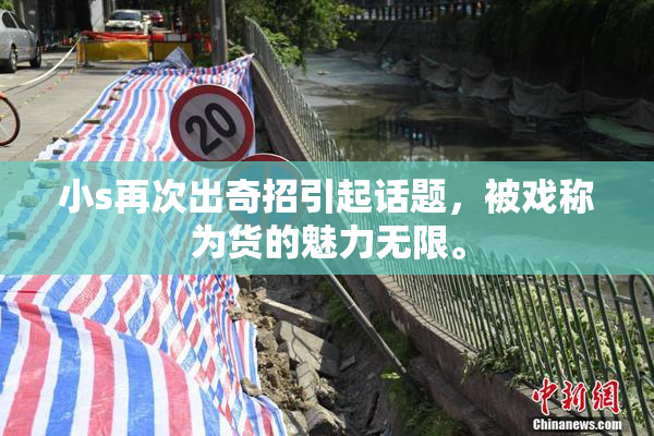 小s再次出奇招引起话题，被戏称为货的魅力无限。