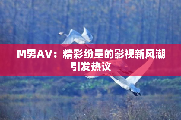 M男AV：精彩纷呈的影视新风潮引发热议