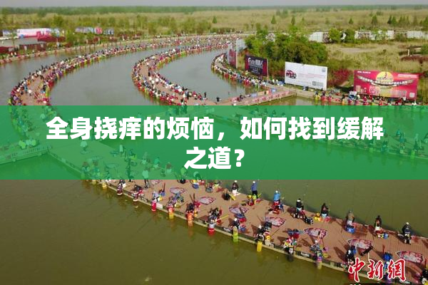 全身挠痒的烦恼，如何找到缓解之道？