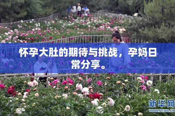 怀孕大肚的期待与挑战，孕妈日常分享。