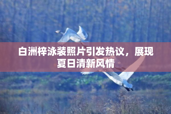 白洲梓泳装照片引发热议，展现夏日清新风情