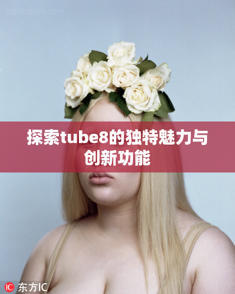 探索tube8的独特魅力与创新功能