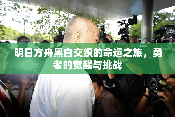 明日方舟黑白交织的命运之旅，勇者的觉醒与挑战