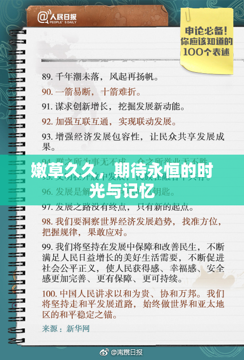 嫩草久久，期待永恒的时光与记忆