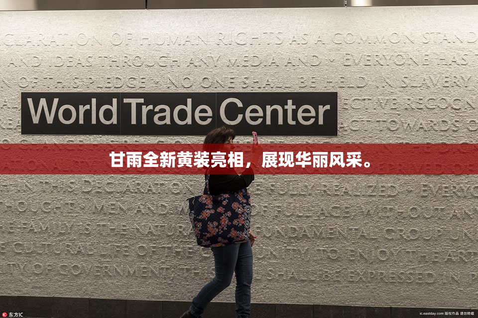 甘雨全新黄装亮相，展现华丽风采。