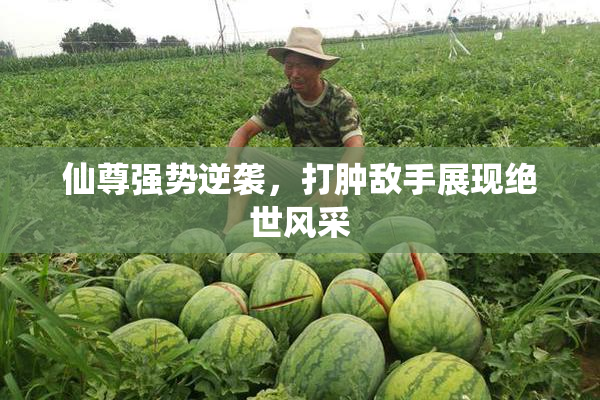 仙尊强势逆袭，打肿敌手展现绝世风采