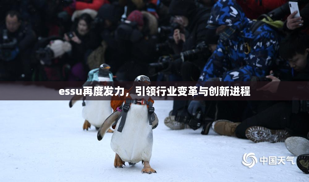 essu再度发力，引领行业变革与创新进程