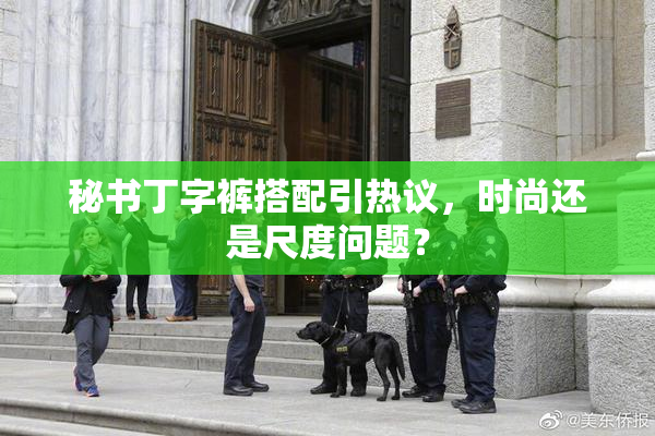 秘书丁字裤搭配引热议，时尚还是尺度问题？