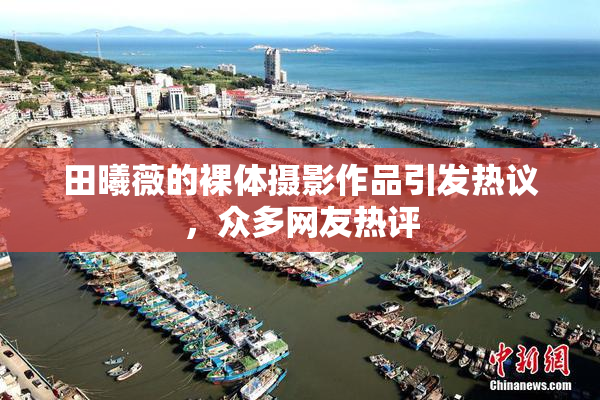 田曦薇的裸体摄影作品引发热议，众多网友热评