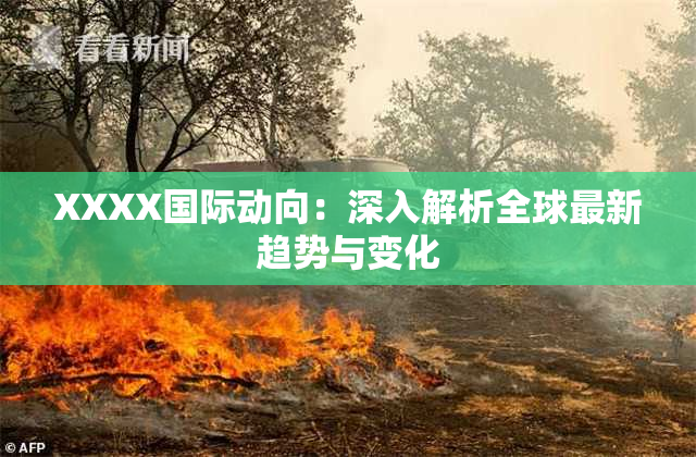 XXXX国际动向：深入解析全球最新趋势与变化