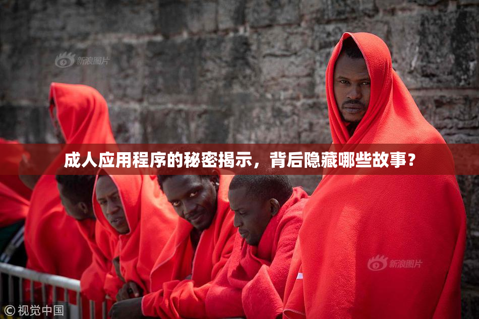 成人应用程序的秘密揭示，背后隐藏哪些故事？