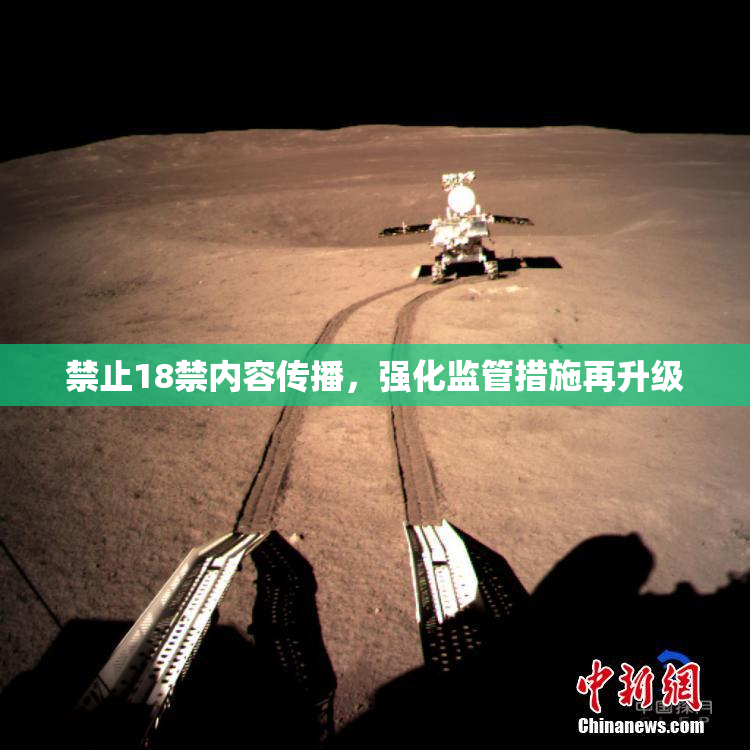 禁止18禁内容传播，强化监管措施再升级