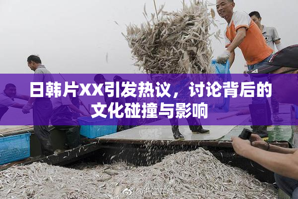 日韩片XX引发热议，讨论背后的文化碰撞与影响