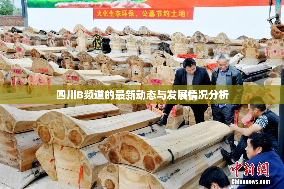 四川B频道的最新动态与发展情况分析
