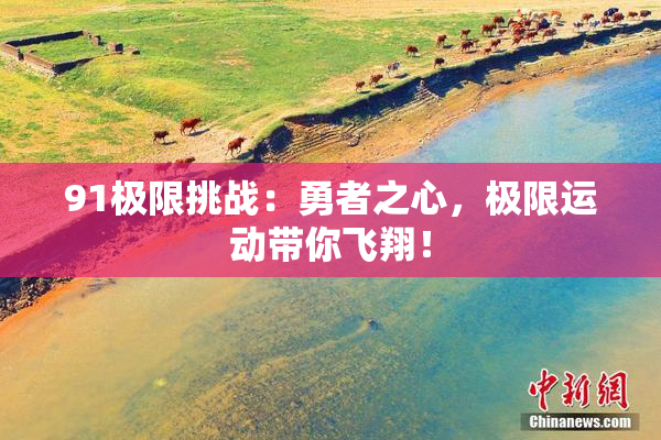 91极限挑战：勇者之心，极限运动带你飞翔！
