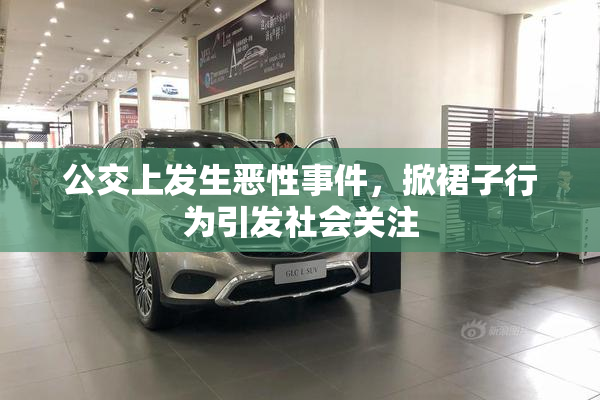 公交上发生恶性事件，掀裙子行为引发社会关注