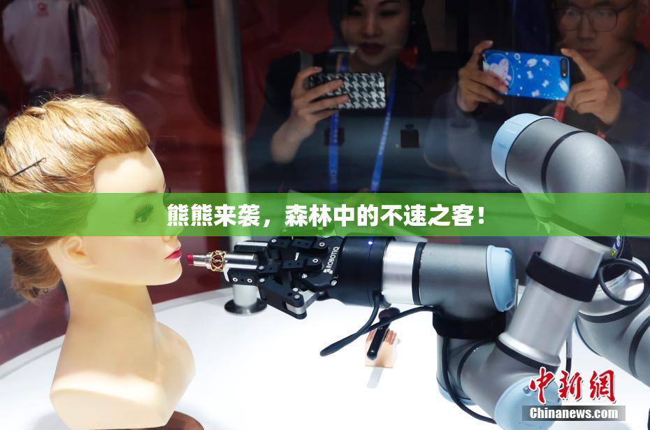 熊熊来袭，森林中的不速之客！