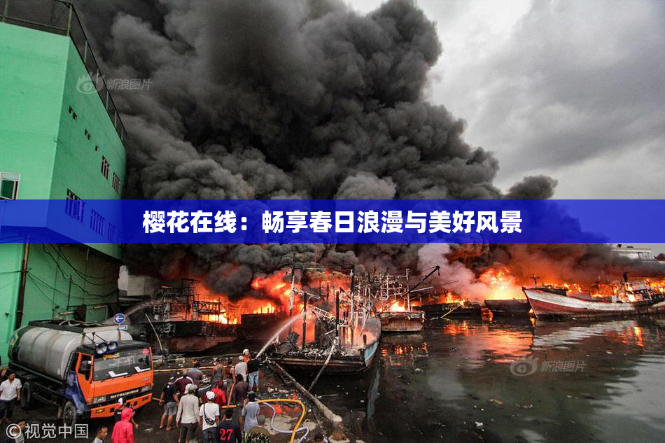 樱花在线：畅享春日浪漫与美好风景