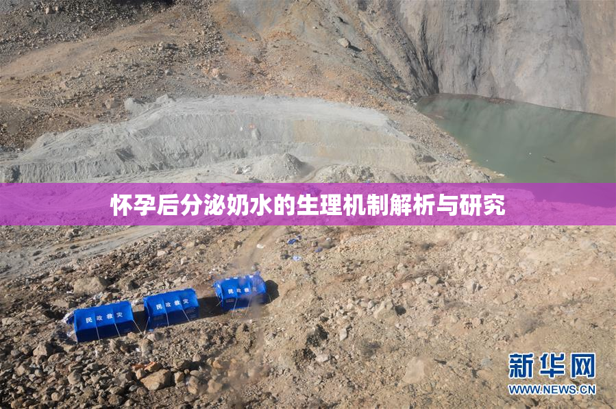 怀孕后分泌奶水的生理机制解析与研究