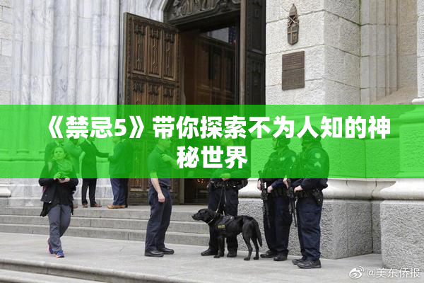 《禁忌5》带你探索不为人知的神秘世界