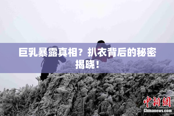 巨乳暴露真相？扒衣背后的秘密揭晓！