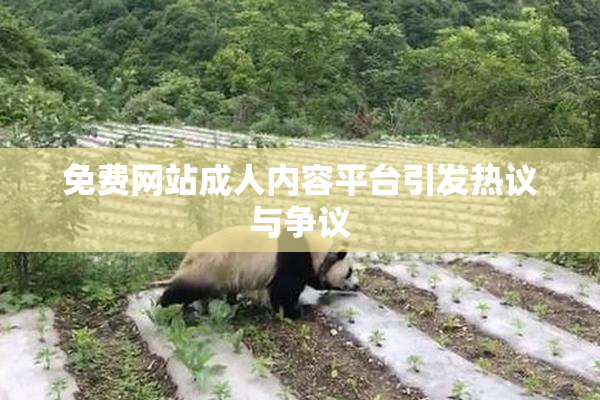 免费网站成人内容平台引发热议与争议