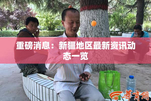 重磅消息：新疆地区最新资讯动态一览