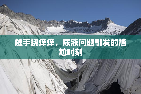 触手挠痒痒，尿液问题引发的尴尬时刻