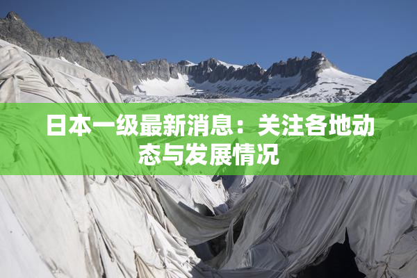 日本一级最新消息：关注各地动态与发展情况