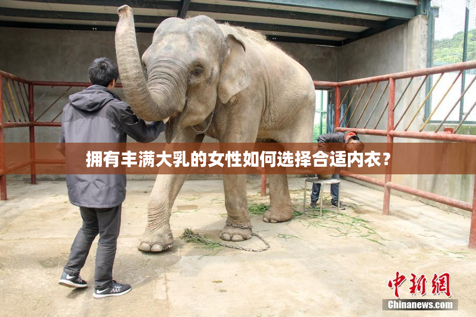 拥有丰满大乳的女性如何选择合适内衣？