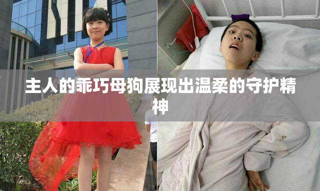 主人的乖巧母狗展现出温柔的守护精神