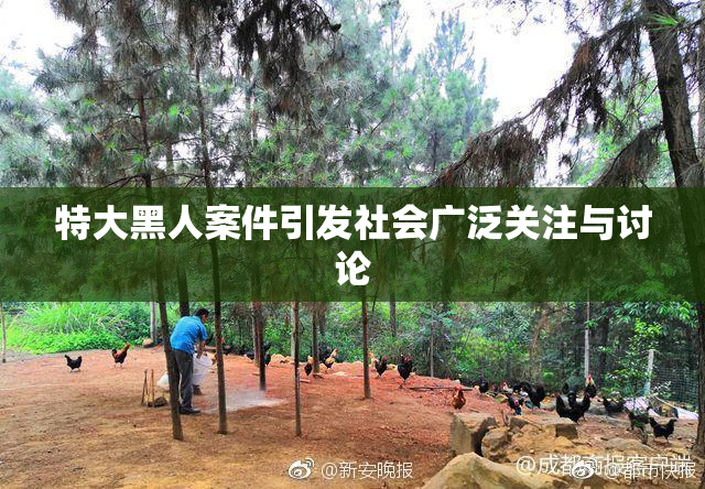 特大黑人案件引发社会广泛关注与讨论