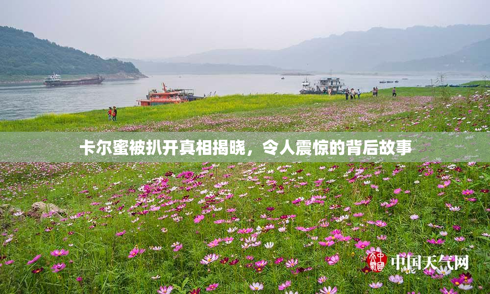 卡尔蜜被扒开真相揭晓，令人震惊的背后故事