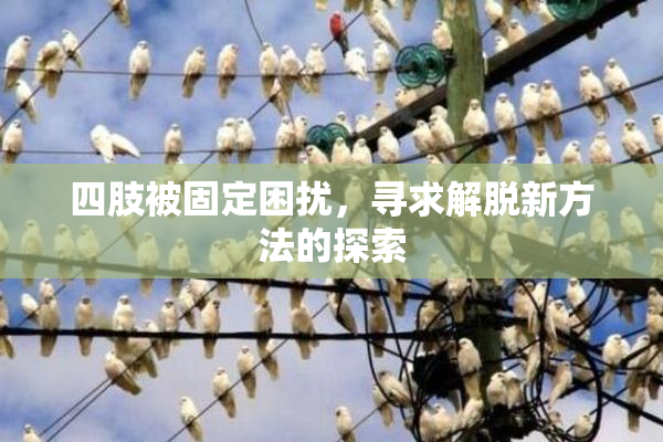 四肢被固定困扰，寻求解脱新方法的探索