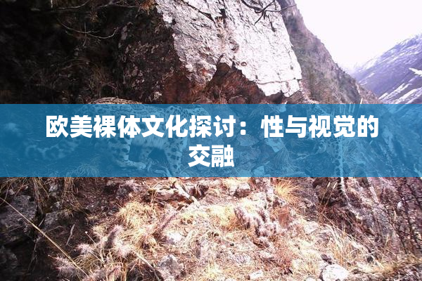 欧美裸体文化探讨：性与视觉的交融
